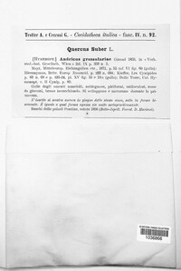 Image Associated With the Occurence